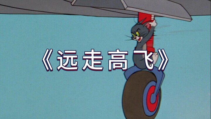 บินหนีไป