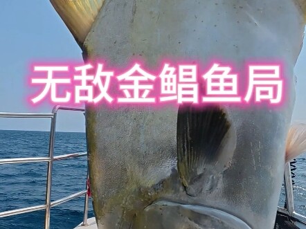 Hop on a boat to go fishing at sea—let’s see if we can break even!