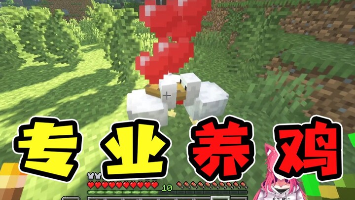 เลี้ยงไก่อย่างมืออาชีพ