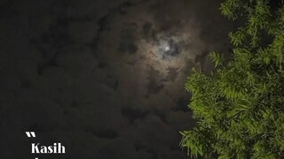Rela demi cinta