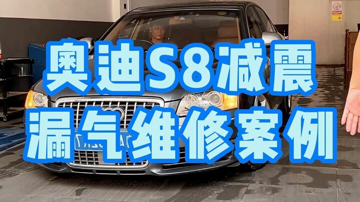 Kakak pemilik Audi S8 datang dari Chengdu menempuh perjalanan lebih dari seribu kilometer hanya untu
