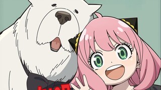 【2025年10月】间谍过家家 第三季 制作决定&前作回顾PV【MCE汉化组】