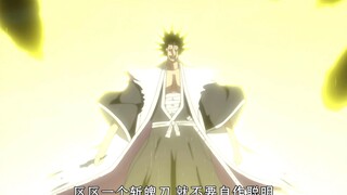 想不到吧，剑八叽连始解都不会