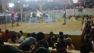Salamat sau papya lines qo na binigay mo prin.ang plow mo malupit.pang 4wen muna ngaun.plahi kna 🐓