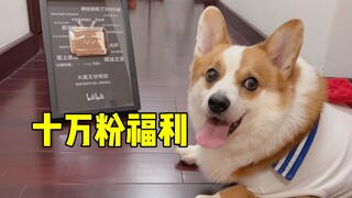 ربما يكون هذا هو صاحب المليون متابع على موقع Bilibili الذي لديه أقصر ساقين