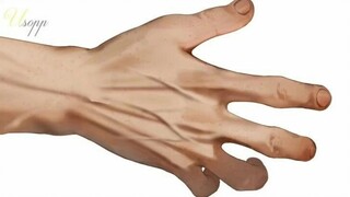 mugiwara crew hands