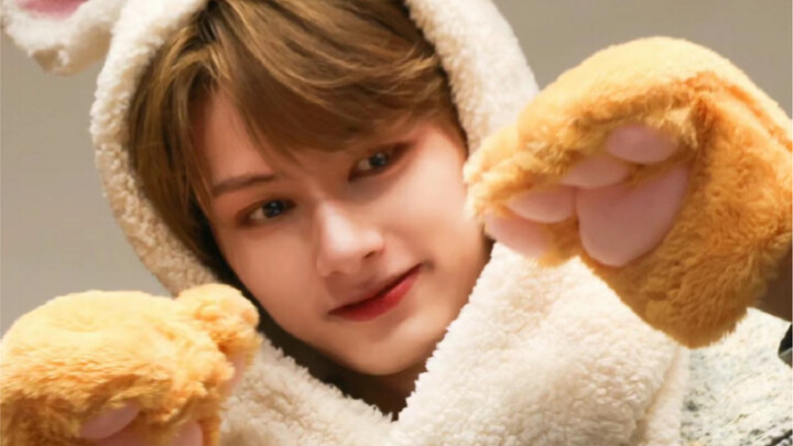 [All Wen Junhui] The cat-raising methods of SEVENTEEN's maknae line
