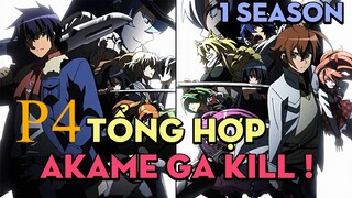 Tóm tắt "Sát thủ Akame" | P4 | AL Anime