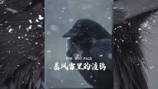 终于明白奥丁的眼睛为什么是渡鸦了