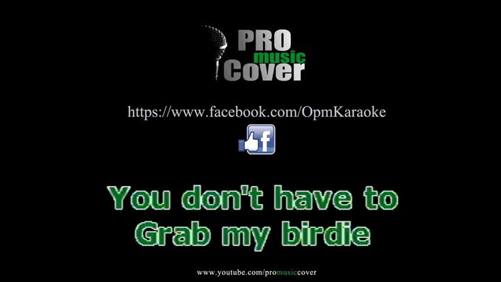 please dont touch my birdie. Parokya ni edgar Karaoke