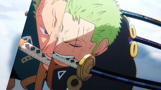 Zoro: With your level, you still want to fight our captain?
