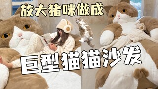 استغرق صنع أريكة كبيرة لقطتي شهرين. وأخيرًا، حققت حلمي بالنوم بين ذراعيها! عملية صنع أريكة (سرير) قط