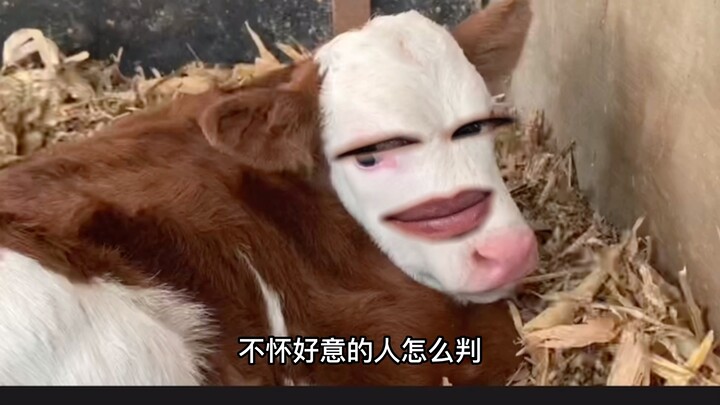 อย่ามองฉันแบบนั้น
