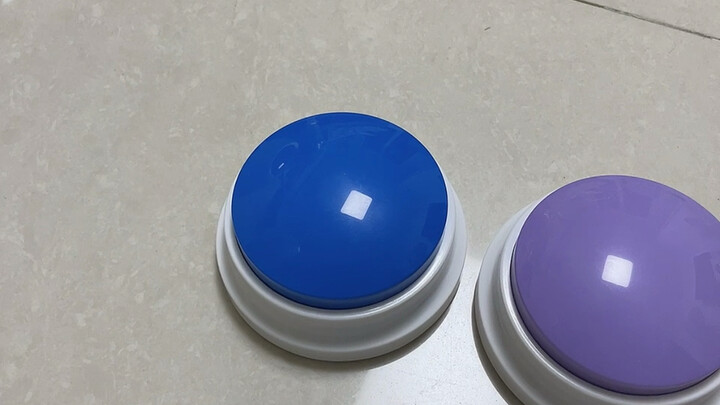 Bisa-bisanya ada yang ngasih host hadiah ulang tahun kayak gini [malu]