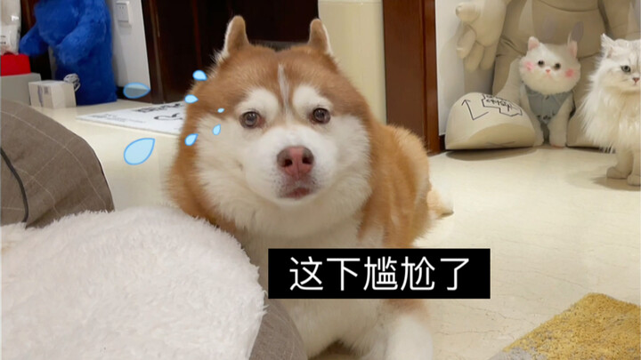 แม้จะเป็นความผิดพลาดโดยไม่ได้ตั้งใจ แต่มันก็แย่เกินไปแล้ว! ท้ายที่สุดกลับรู้สึกซึ้งใจอยู่เหมือนกัน…