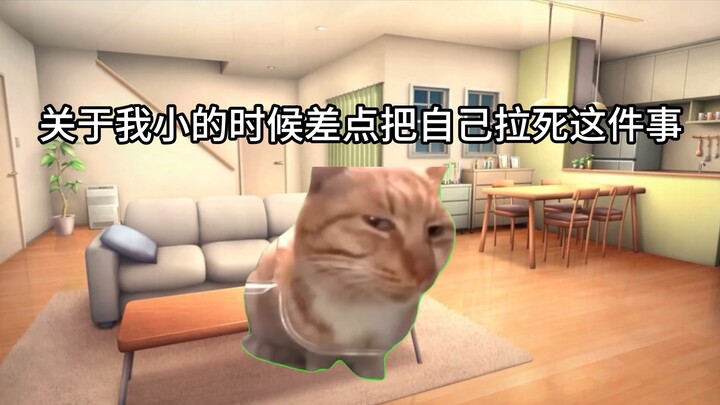 【Meme mèo】Về chuyện hồi nhỏ tôi suýt tự kéo mình chết