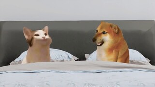 What is it like to have a BT boyfriend?