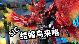 【模玩浅谈：假面骑士SIC结婚鸟】