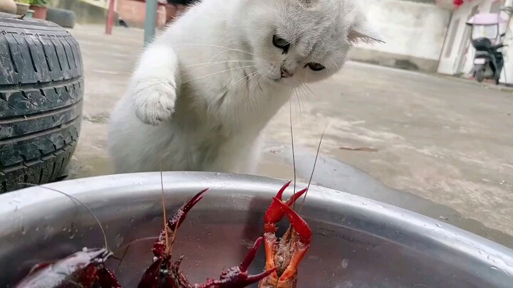 ยังไม่ตายก็หาเรื่องตาย