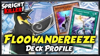 Post POTE Floowandereeze Deck Profile | August 2022 | Yu-Gi-Oh! (Flundereeze)