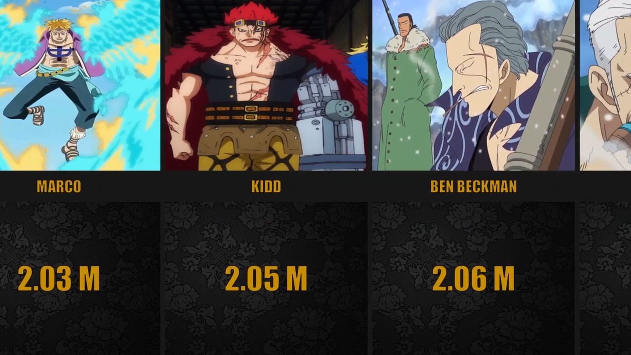 Similarities Between One Piece and Fairy Tail - BiliBili