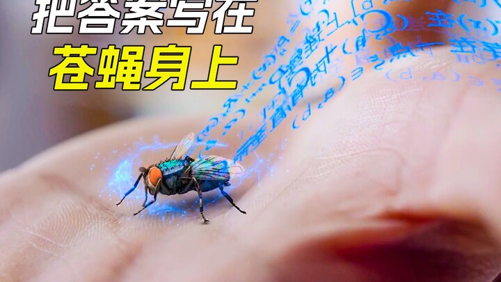 During the exam, a student wrote the answers on a fly.