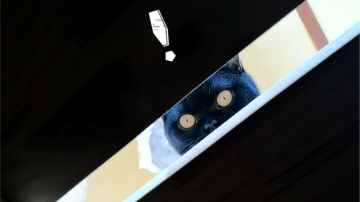 ألعب لعبة “الغميضة” مع قطة.. ما الذي كان يدور في بالي؟ هذا كله تعذيب للنفس! 55555