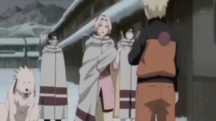 sakura dan Naruto
