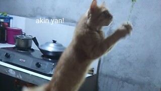 hala sige huliin mo