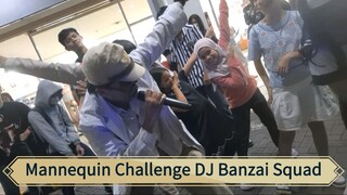 Mannequin Challenge DJ Banzai Squad