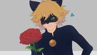 【Miraculous】Checklist丨MEME丨“Girl I celebrate it”