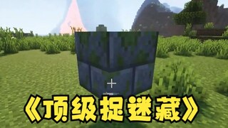 When you can transform into any kind of block