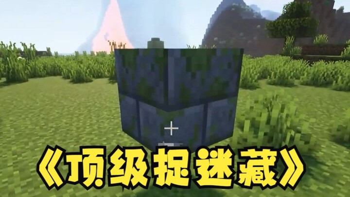 When you can transform into any kind of block