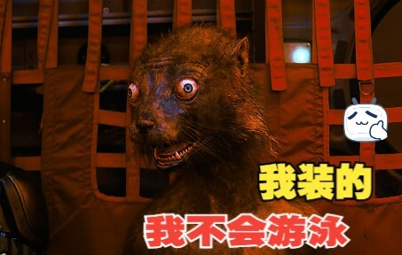 ฉันว่ายน้ำไม่เป็น ฉันแกล้งทำเฉยๆ