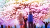 The Promise Under the Cherry Blossoms - (4k High Definition)