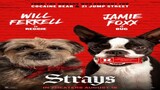 Strays (2023) -  WATCH FULL FILM FOR FREE 🔰 LINK IN description