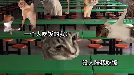 Tôi lo lắng trước ngày tựu trường