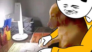 当 代 青 年 放 假 现 状
