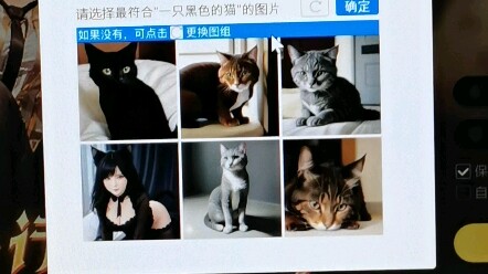 Hả? Được được được, đây là con mèo phải không?