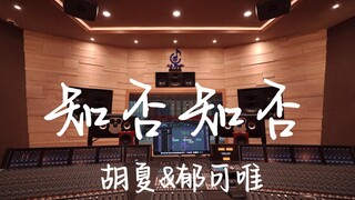 ฟังเพลง "Do You Know?" ของ Hu Xia & Yu Kewei ในสตูดิโอบันทึกเสียงสุดหรู [ความละเอียดสูง]