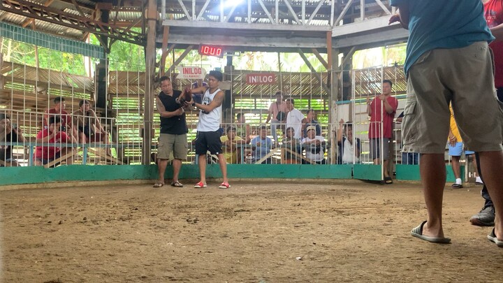 Maribojoc arena bohol