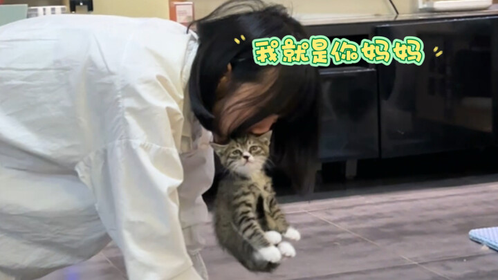 I’ll help you find the missing maternal love!