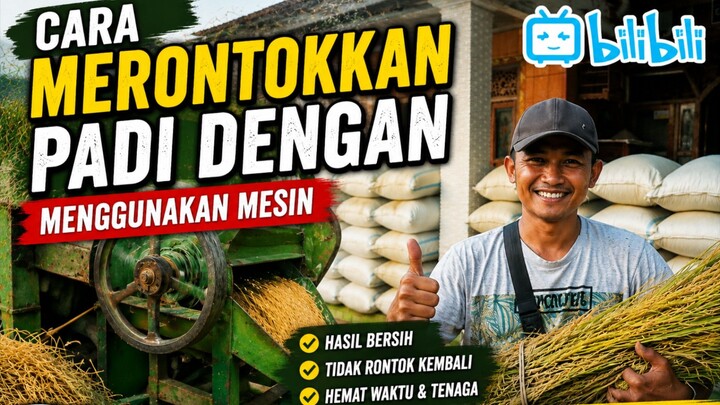 Pernah Lihat Cara Orang Desa Rontokkan Padi? Ternyata Seru Banget!"