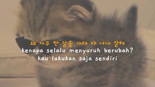 no more dream