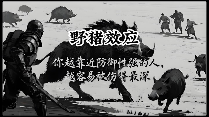 心理学上有个词叫：野猪效应｜你越靠近防御性强的人，越容易被伤得最深