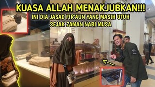 MENEGANGKAN INI DIA JASAD FIR4UN YANG DI ABADIKAN OLEH ALLAH SEBAGAI BUKTI PEMBELAJARAN