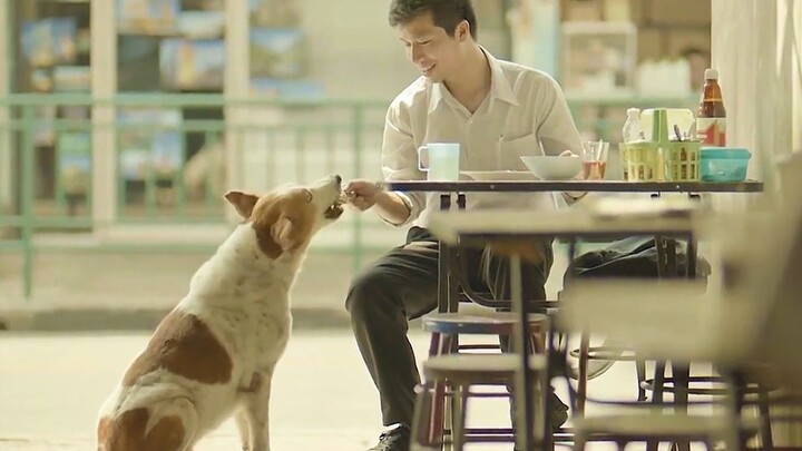 "Thế giới hôn tôi bằng nỗi đau, nhưng tôi đáp lại bằng bài ca."