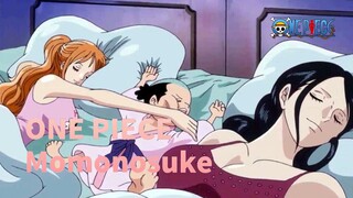 [ONE PIECE] Tôi không thể là Vua Hải Tặc, nhưng  Momonosuke phải chết