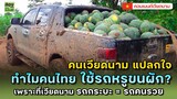 เวียดนามแปลกใจ...ทำไมคนไทย เอารถหรูมาขนผัก?  | คอมเมนต์เวียดนาม