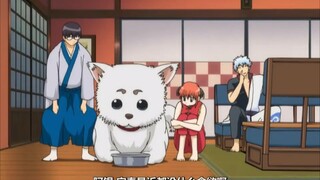 Gintama: Tự động, tôi bị cuốn hút bởi cuộc gặp gỡ đó và thói quen hàng ngày của tôi hoàn toàn thay đ